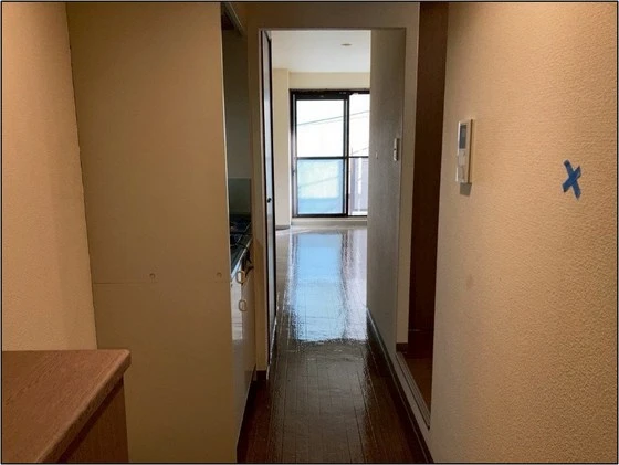 ピュアフィネス