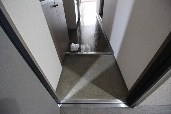 ピュアフィネス