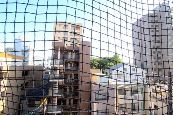 メゾンド岡文館