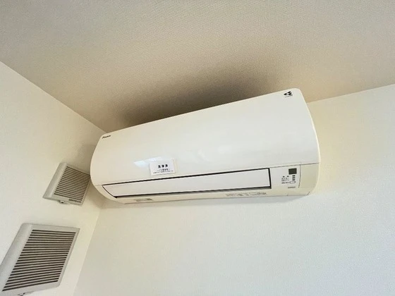 ライブリーポトス江波