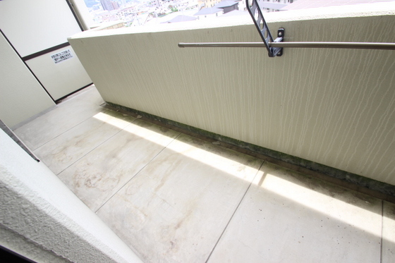 ピュアライフ21