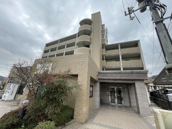 ピュアライフ21