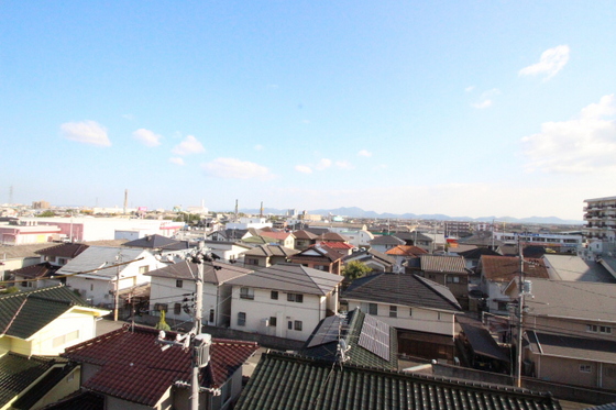 サニーヒルズ大福