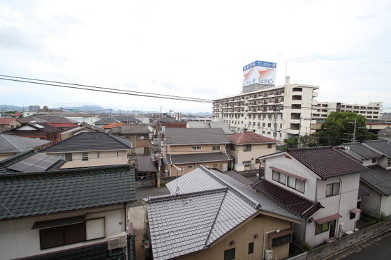 サニーヒルズ大福