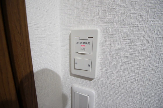 サニーヒルズ大福