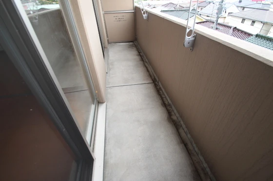 サニーヒルズ大福