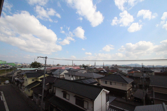 サニーヒルズ大福