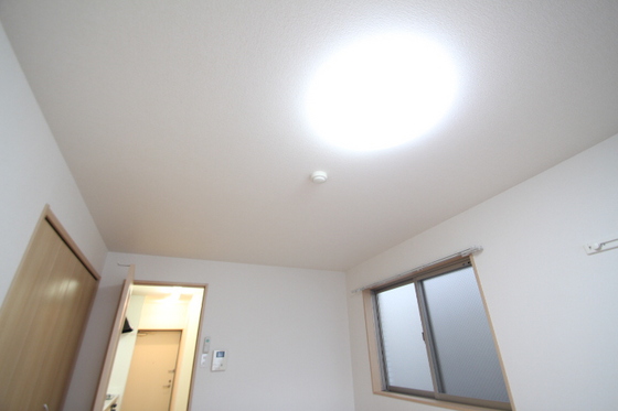 ホワイトグレース律奈