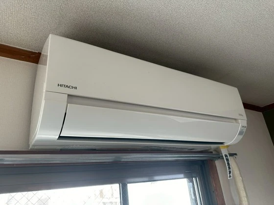 ホワイトコートセザム