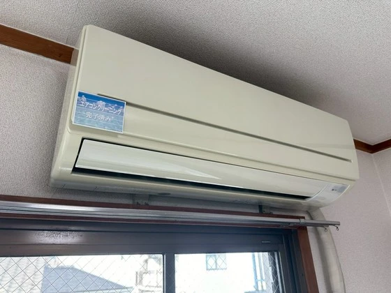 ホワイトコートセザム