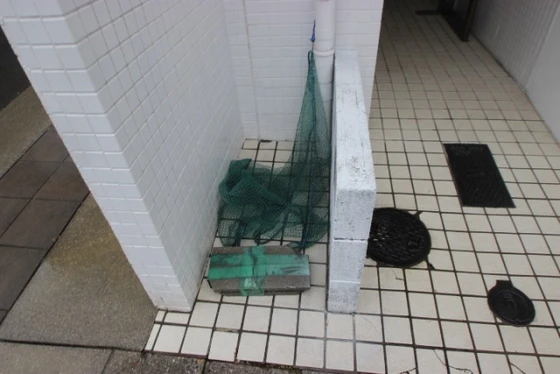 ホワイトコートセザム