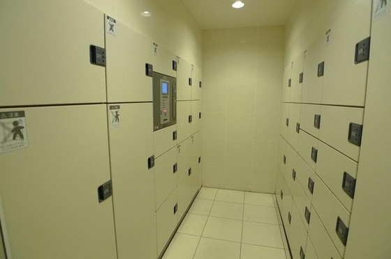 アルファステイツ清心