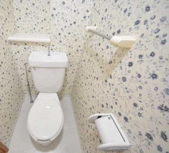 アルファステイツ清心