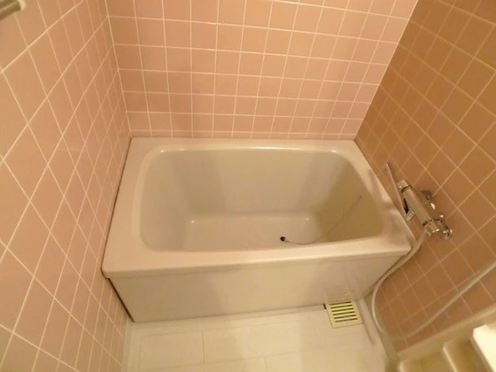 サーパス藤原西町