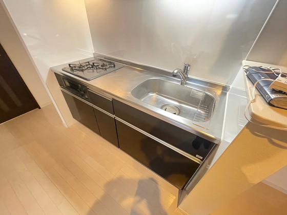 Regalest Ear-P(アープ) 長束