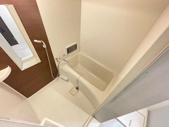 Regalest Ear-P(アープ) 長束