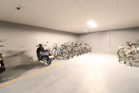 エネピア国泰寺