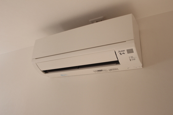 Regalest 39(レガリスト サク)