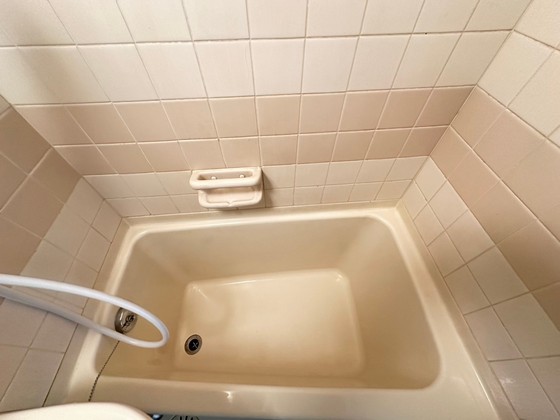 ダイアパレス舟入中