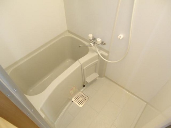 カスティージョ Ⅱ