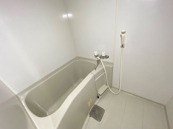 カスティージョ Ⅱ