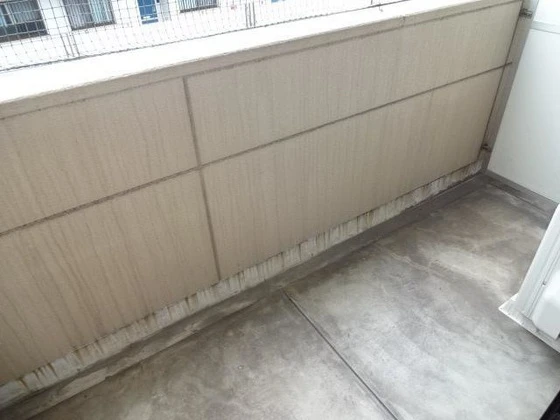 しあんくれーる