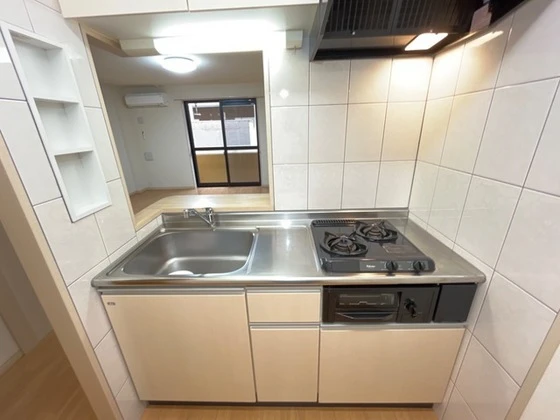 プラッツ・ユーⅡ