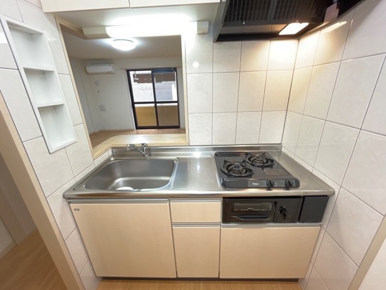 プラッツ・ユーⅡ