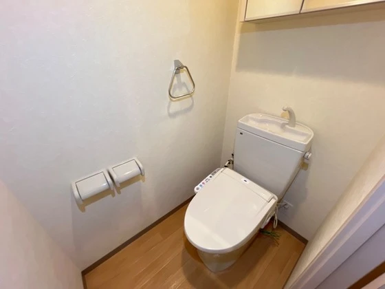 プラッツ・ユーⅡ