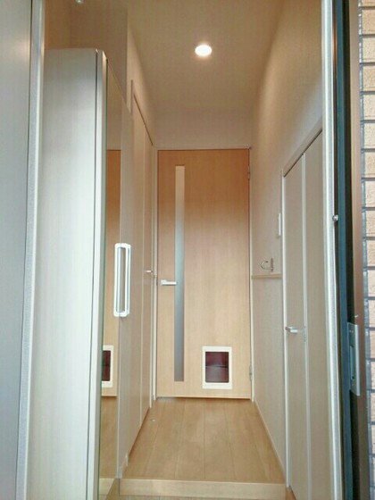 ショコラ オリーブ