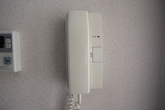 アミスタ―大供