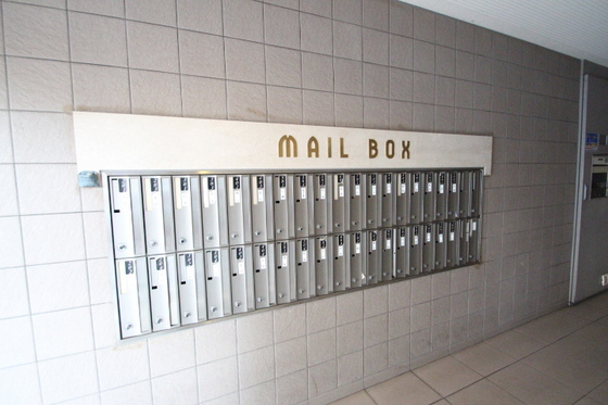 アミスタ―大供