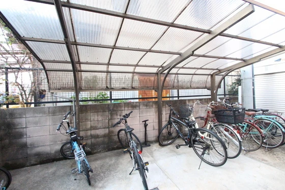 アミスタ―大供