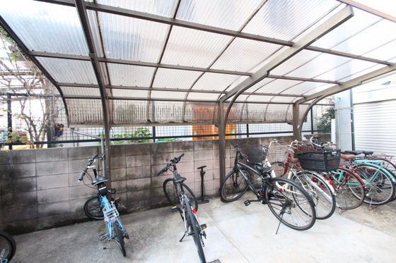 アミスタ―大供