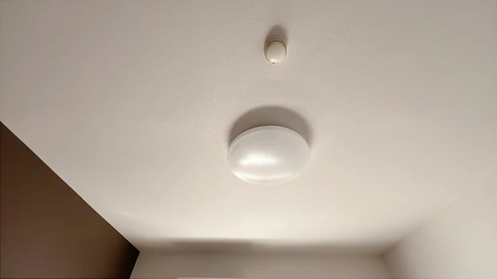 アミスタ―大供