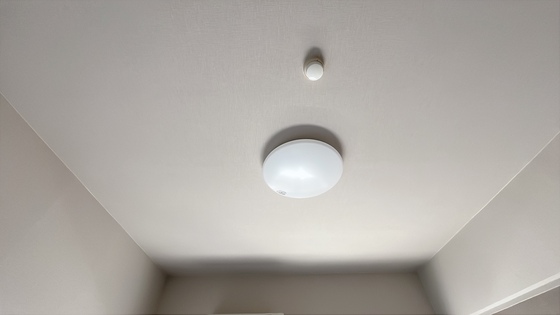 アミスタ―大供