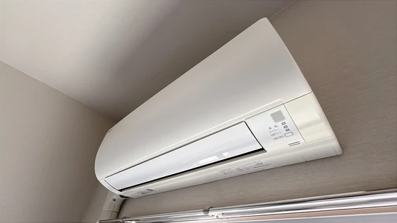 アミスタ―大供