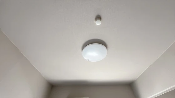 アミスタ―大供