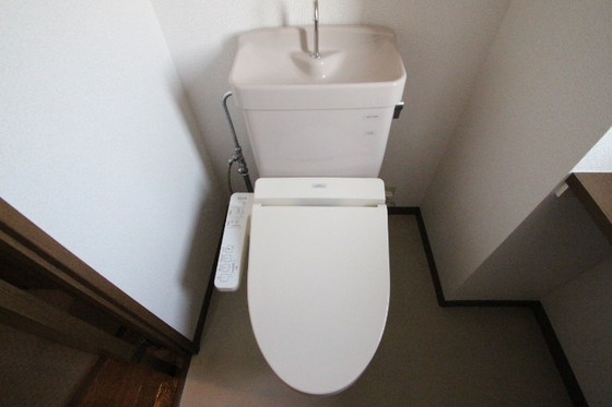 アミスタ―大供