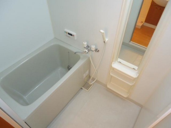 ドリームハウス