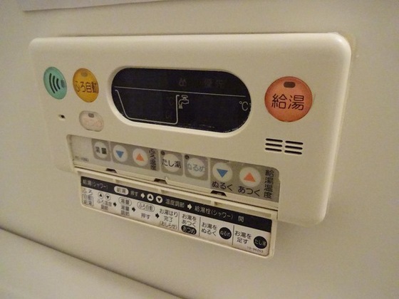 ドリームハウス