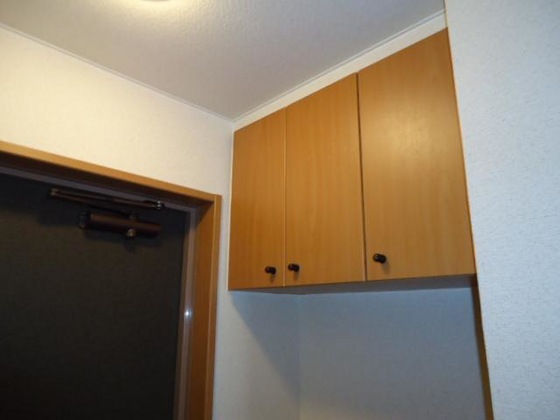 ドリームハウス