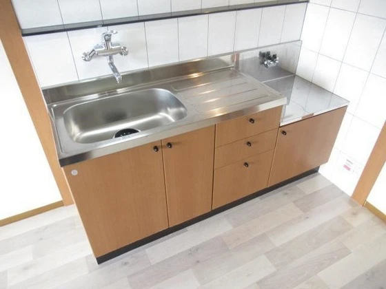 ドリームハウス