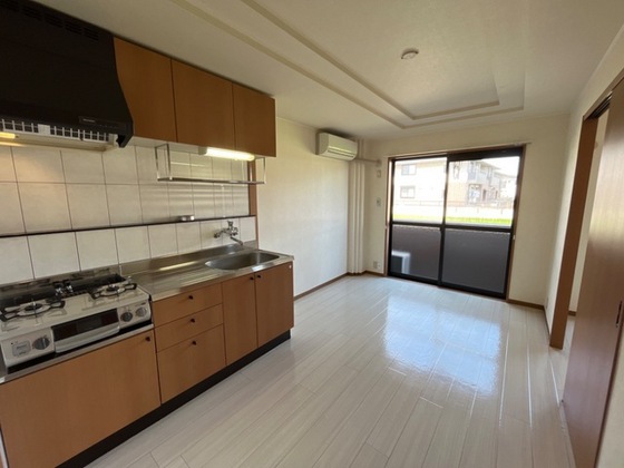 ドリームハウス