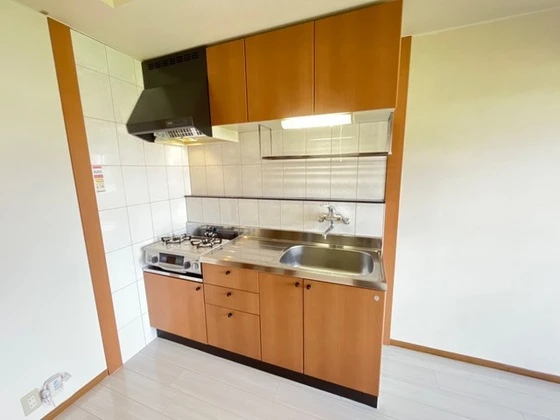 ドリームハウス