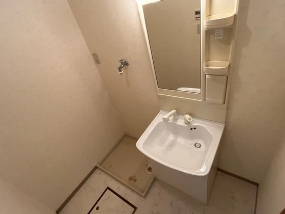 ドリームハウス