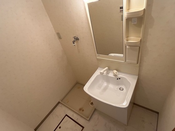 ドリームハウス