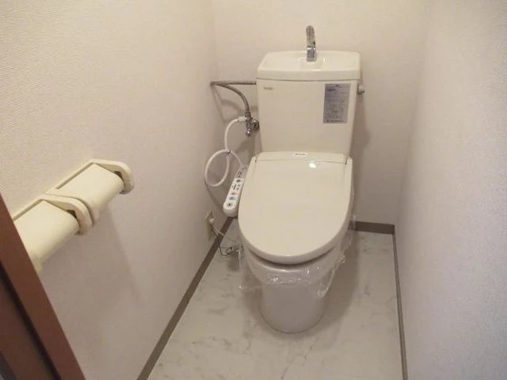 ドリームハウス