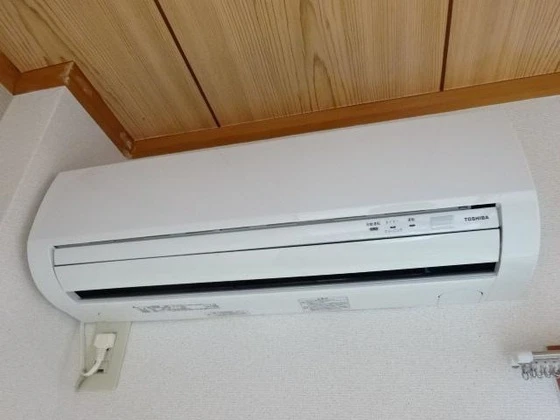 パープルメゾン