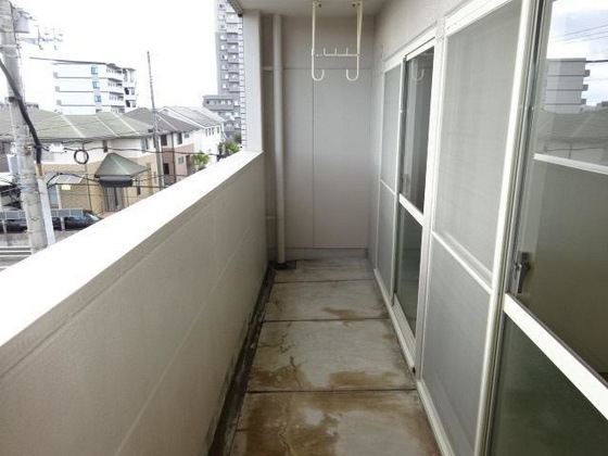 パープルメゾン